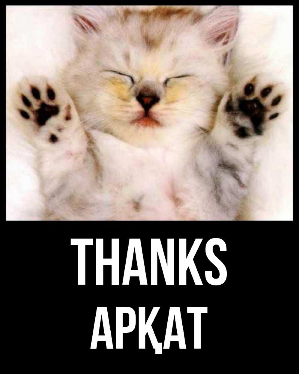 Greetings card с именем, Арқат Thanks маленький котенок Greetings with text for free download 