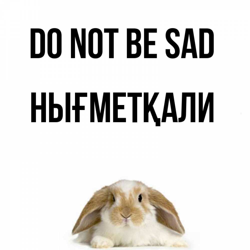 Greetings card с именем, НЫҒМЕТҚАЛИ Do not be sad коричнево белый заяц с большими ушками Greetings with text for free download 