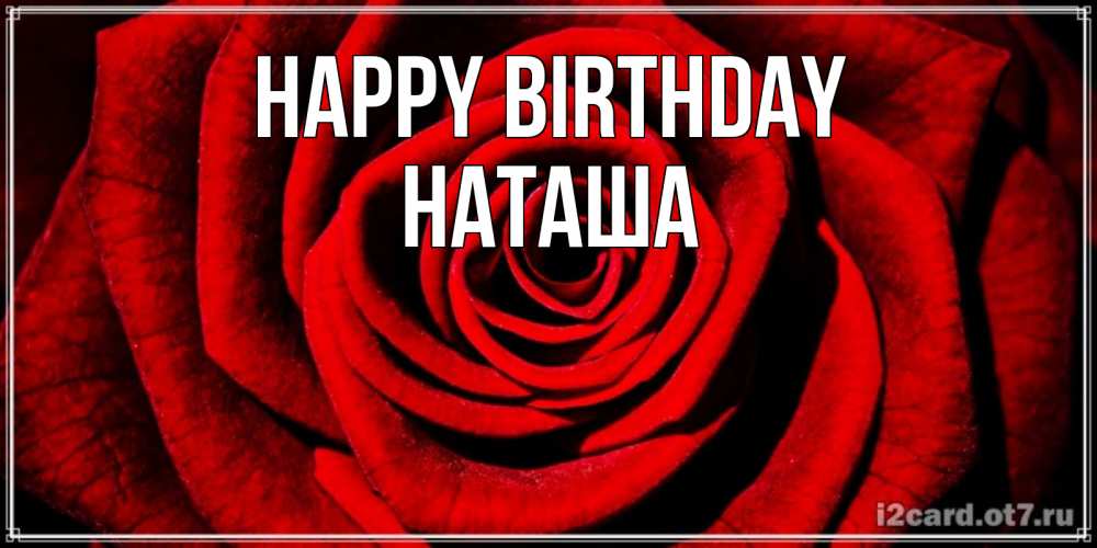 Greetings card с именем, Наташа Happy Birthday алая роза Greetings with text for free download 