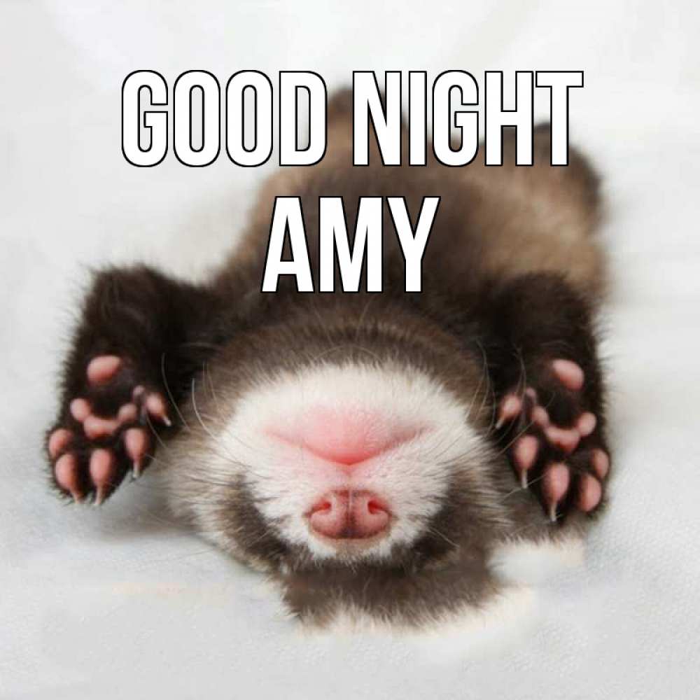 Greetings card с именем, Amy Good night зверек Greetings with text for free download 