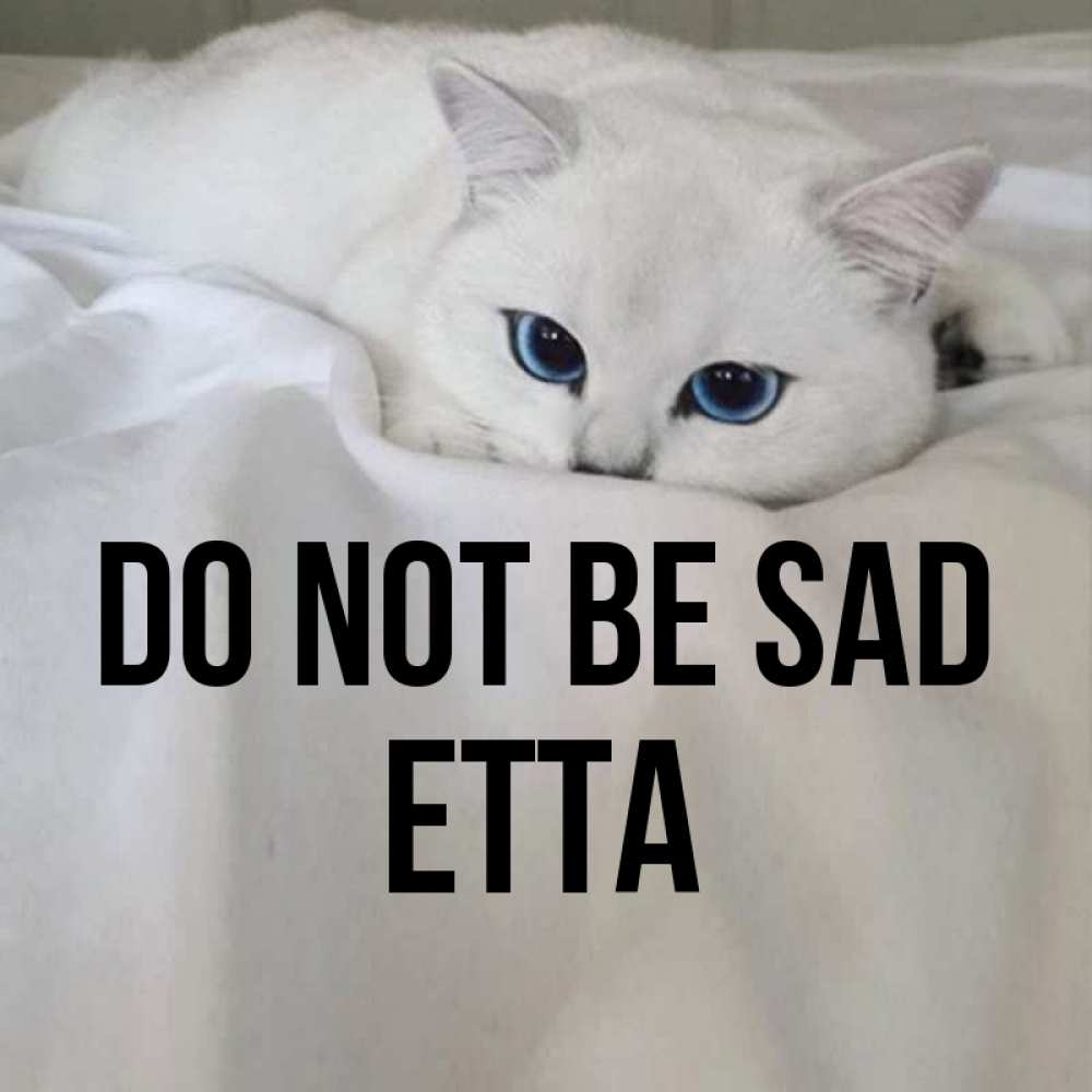 Greetings card с именем, Etta Do not be sad Голубоглазая кошка Greetings with text for free download 