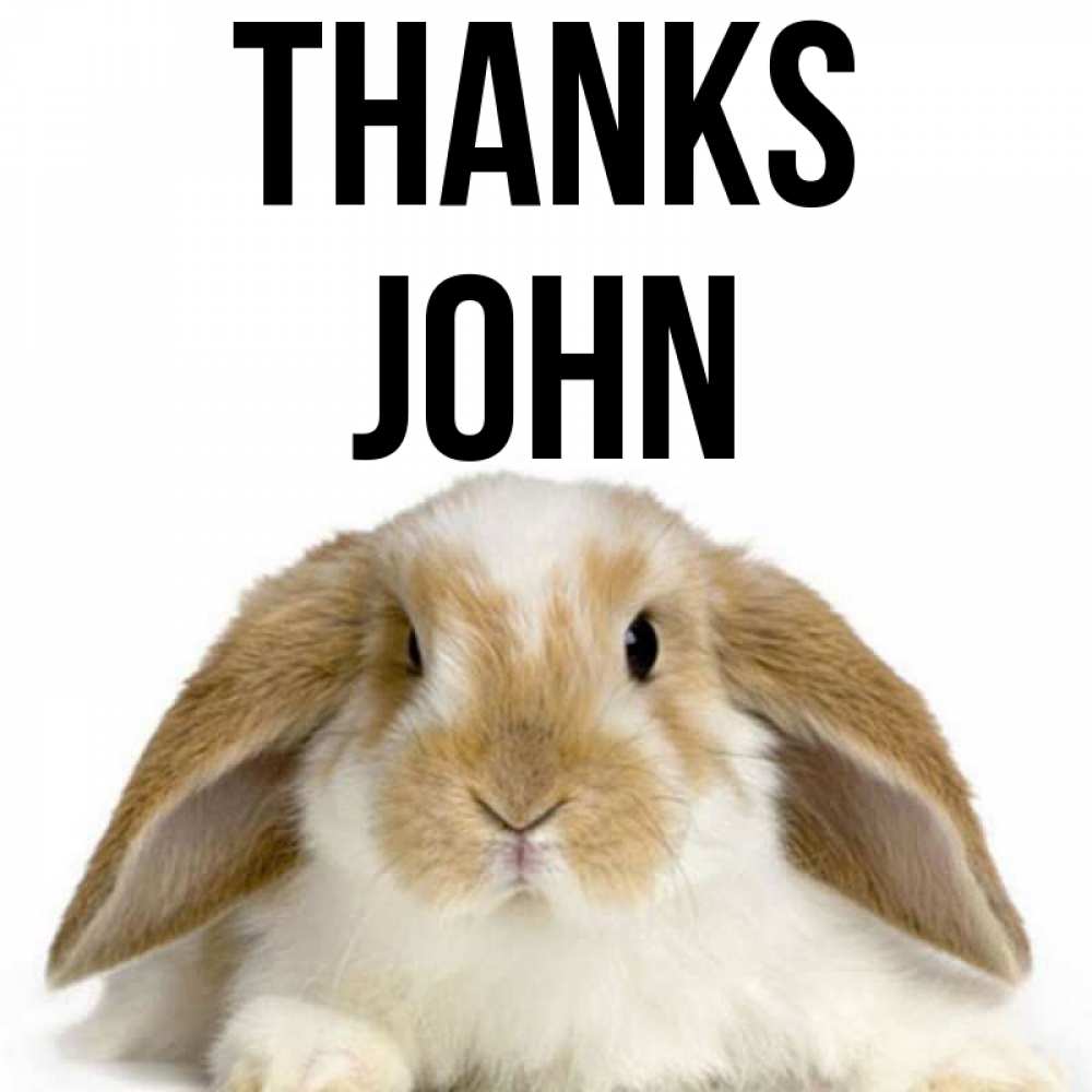 Greetings card с именем, John Thanks коричнево белый заяц Greetings with text for free download 
