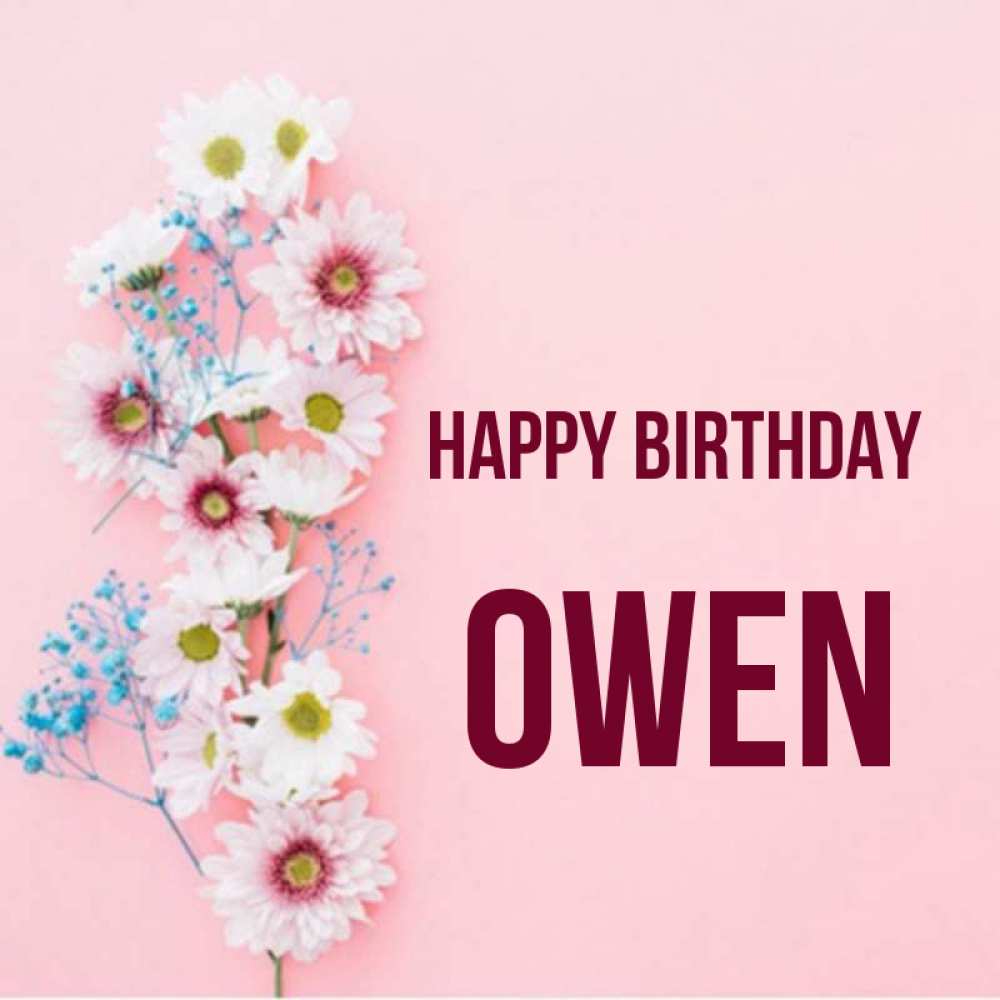 Greetings card с именем, Owen Happy Birthday Родная моя с днем рождения тебя картинка с цветами белыми и голубыми Greetings with text for free download 