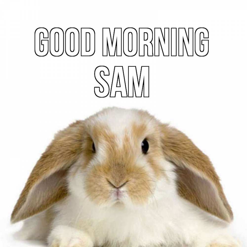 Greetings card с именем, Sam Good morning прикольные открытки на каждый день Greetings with text for free download 