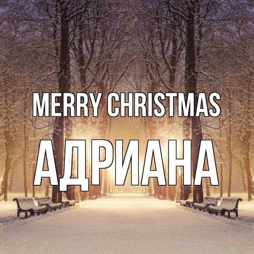 Greetings card с именем, Адриана Merry Christmas зима, парк, фонарь, лес Greetings with text for free download 