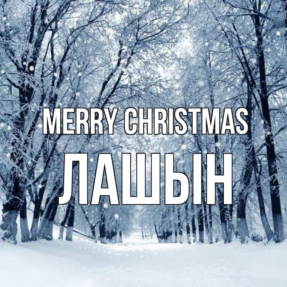 Greetings card с именем, ЛАШЫН Merry Christmas снег, лес, парк Greetings with text for free download 