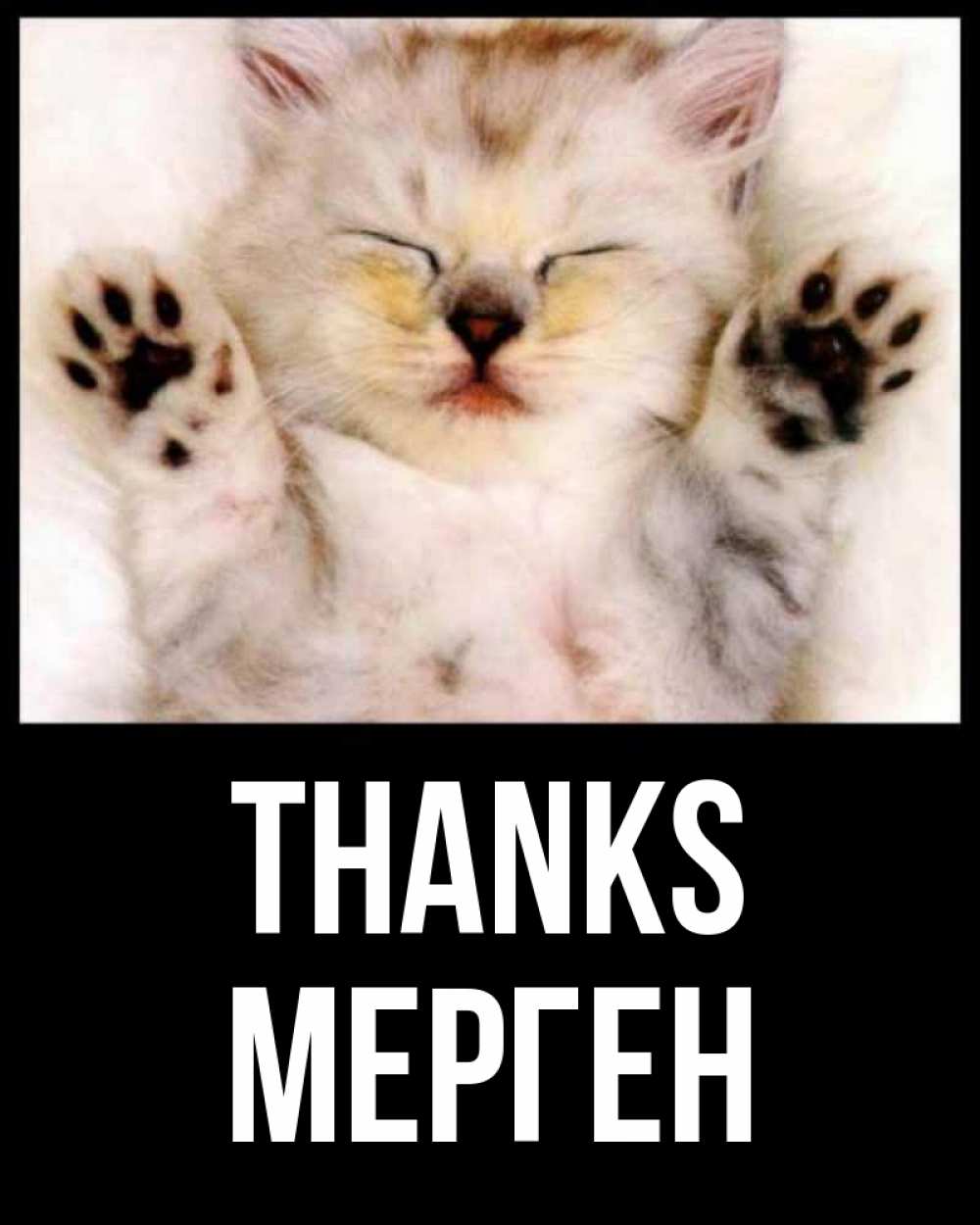 Greetings card с именем, МЕРГЕН Thanks маленький котенок Greetings with text for free download 
