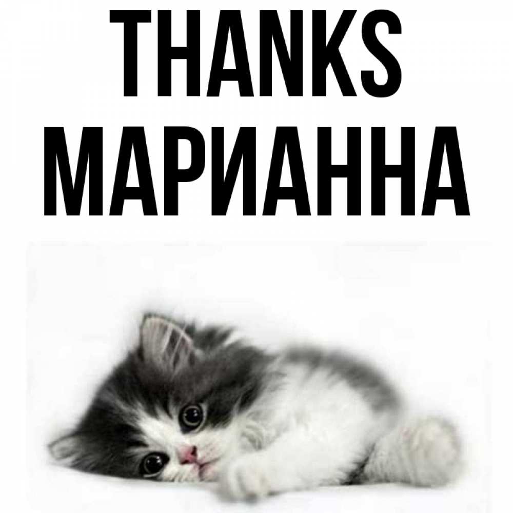 Greetings card с именем, Марианна Thanks черный и белый кот Greetings with text for free download 