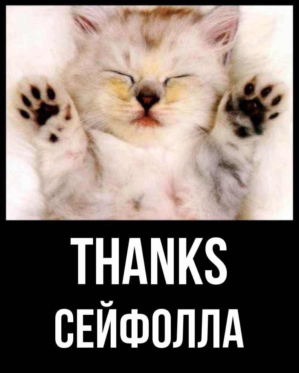 Greetings card с именем, СЕЙФОЛЛА Thanks маленький котенок Greetings with text for free download 