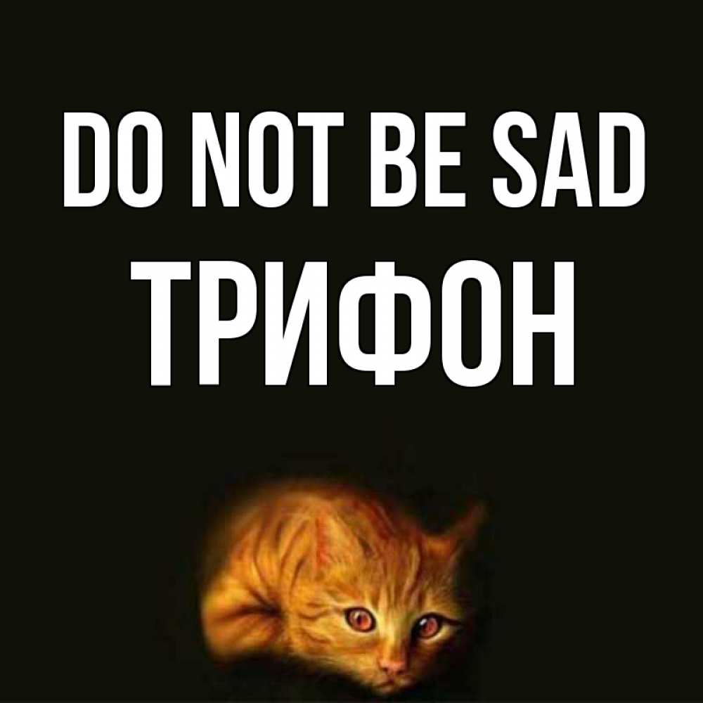 Greetings card с именем, Трифон Do not be sad лежащий кот в темноте Greetings with text for free download 