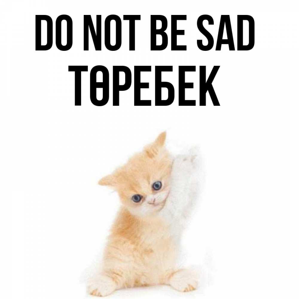 Greetings card с именем, ТӨРЕБЕК Do not be sad просящий кот Greetings with text for free download 