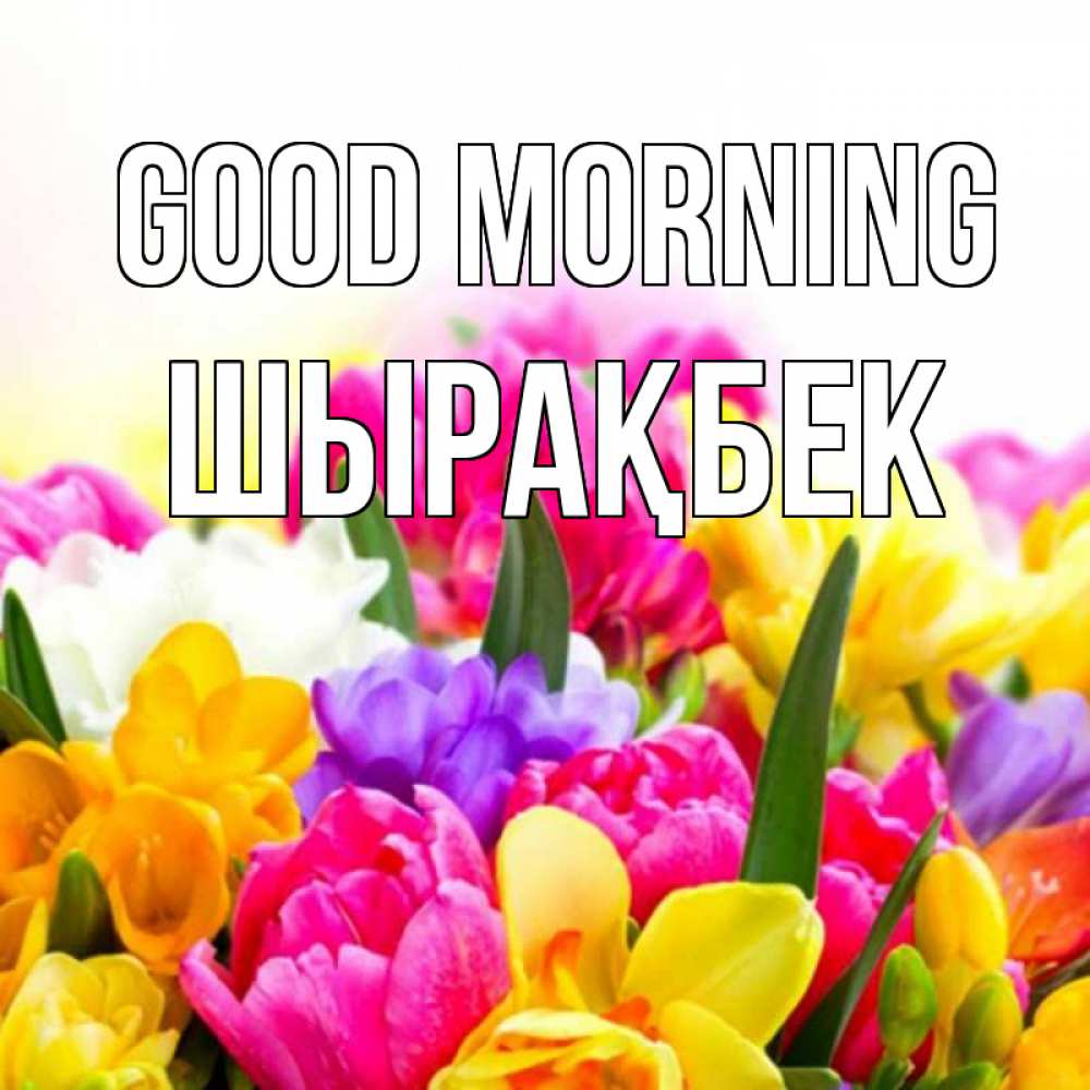 Greetings card с именем, ШЫРАҚБЕК Good morning создать открытку со свое подписью Greetings with text for free download 