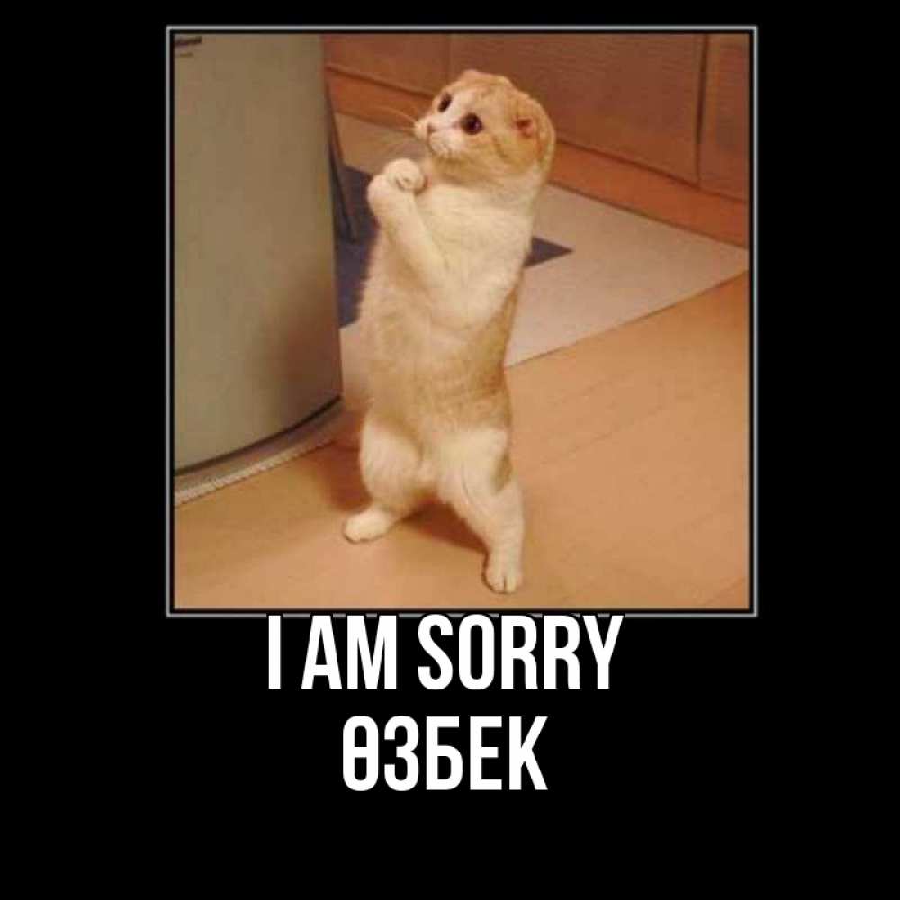 Greetings card с именем, ӨЗБЕК I am sorry открытка с милым несчастным котиком просящим прощения Greetings with text for free download 