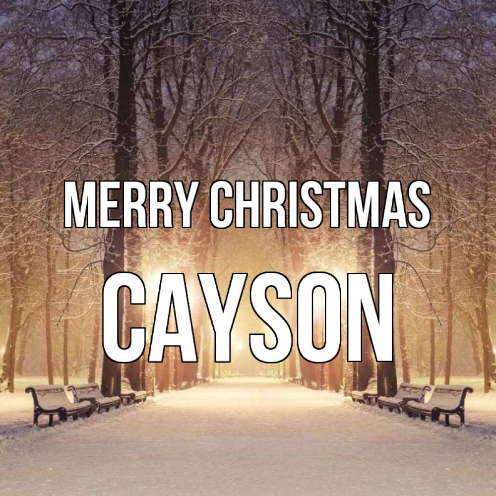 Greetings card с именем, Cayson Merry Christmas зима, парк, фонарь, лес Greetings with text for free download 
