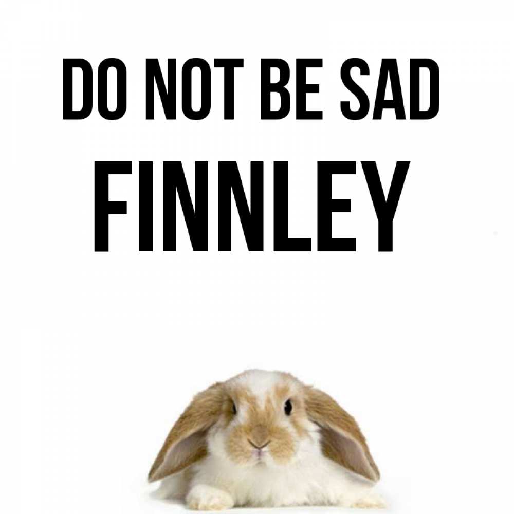 Greetings card с именем, Finnley Do not be sad коричнево белый заяц с большими ушками Greetings with text for free download 
