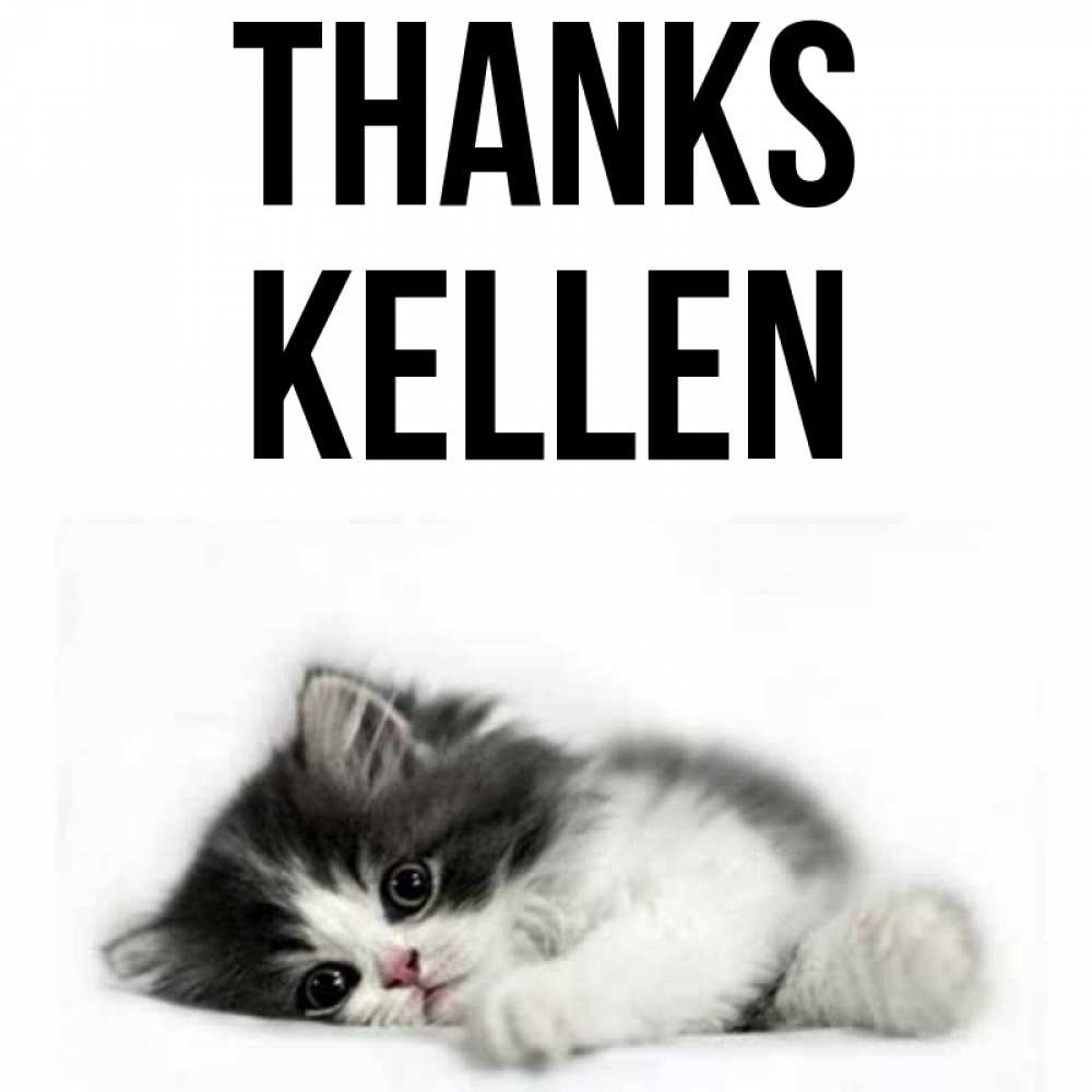 Greetings card с именем, Kellen Thanks черный и белый кот Greetings with text for free download 