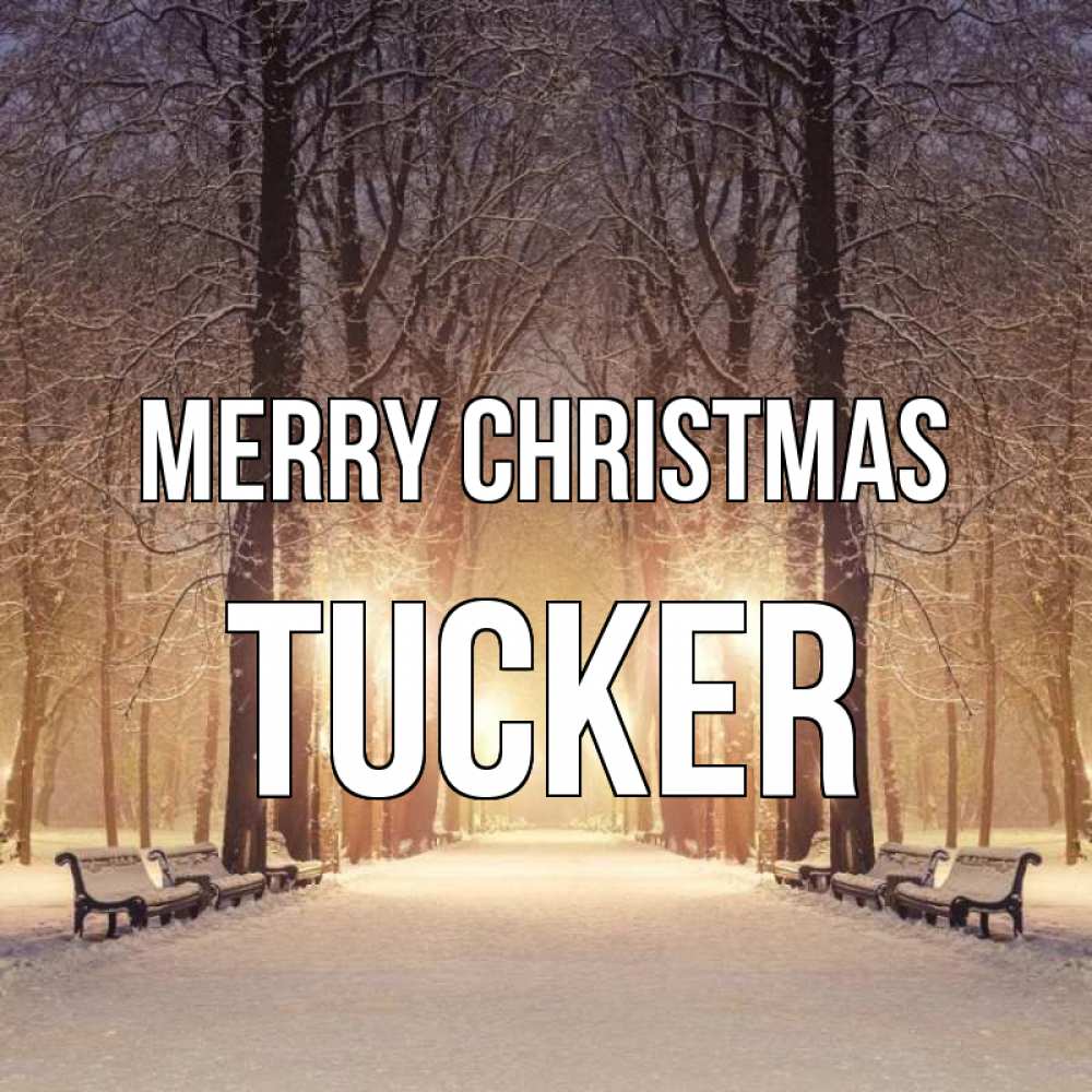 Greetings card с именем, Tucker Merry Christmas зима, парк, фонарь, лес Greetings with text for free download 