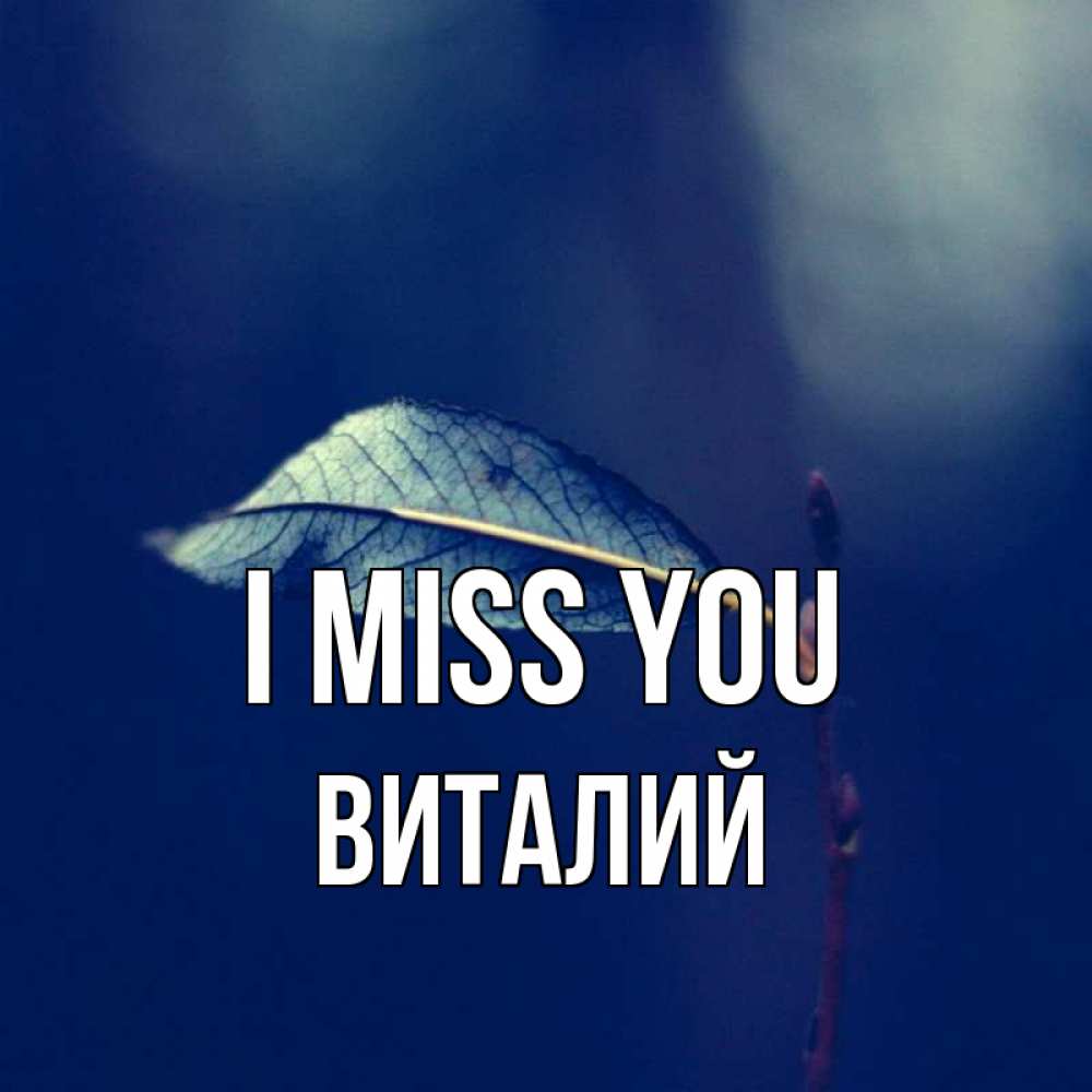 Greetings card с именем, Виталий I miss you одна ветка 1 Greetings with text for free download 