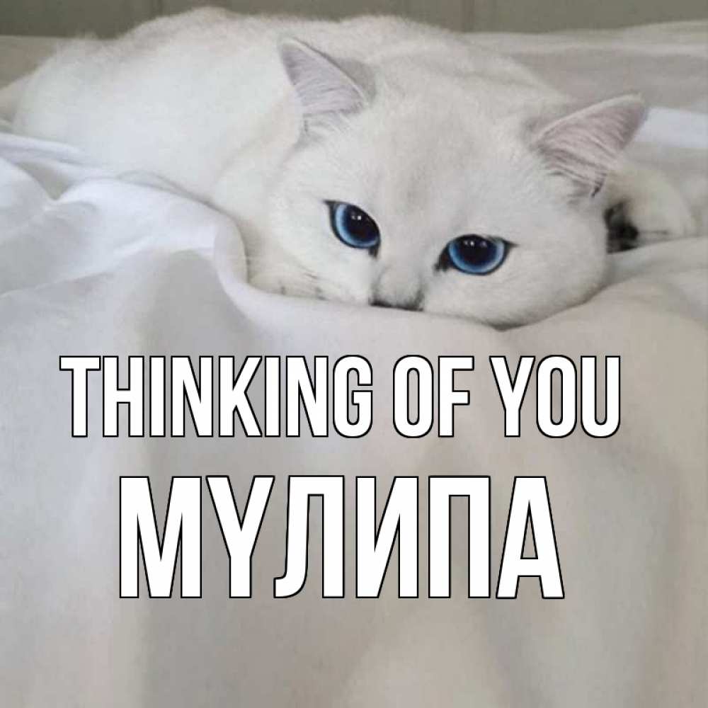 Greetings card с именем, МҮЛИПА Thinking of you я очень по тебе скучаю и тоскую Greetings with text for free download 