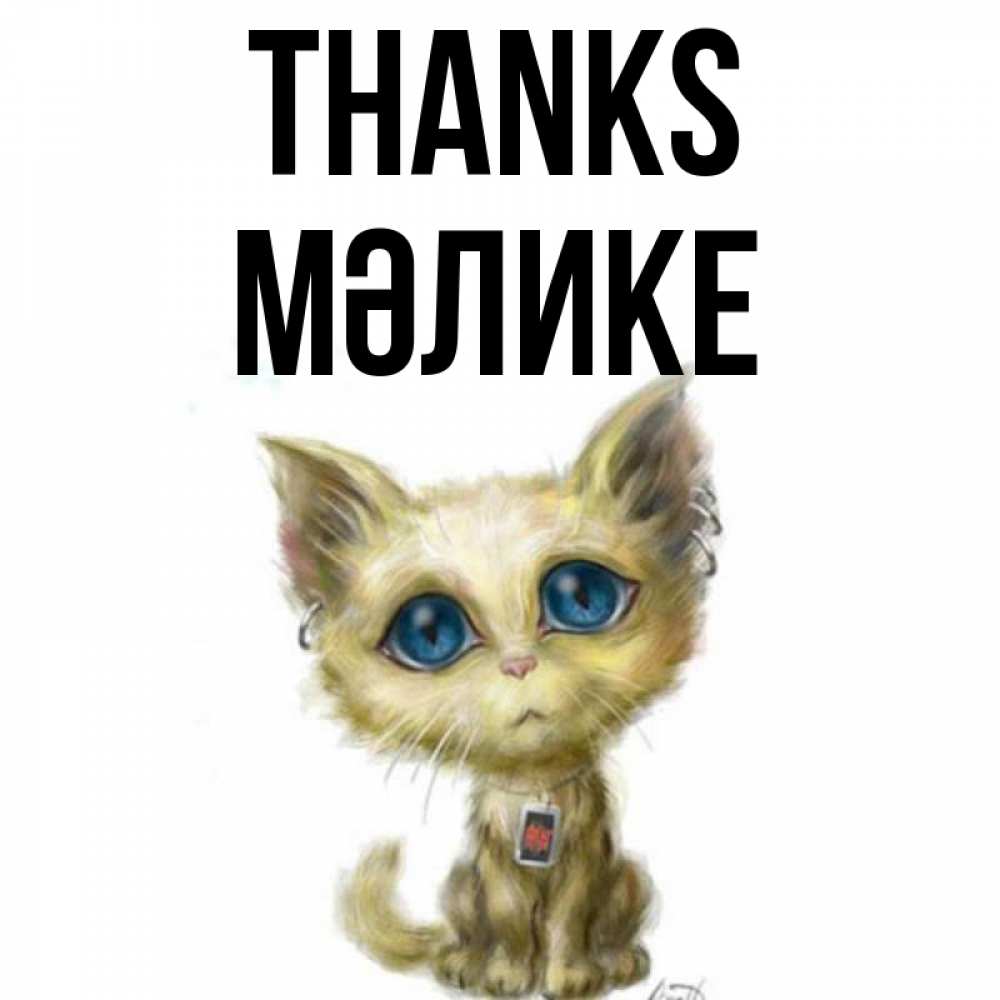 Greetings card с именем, МӘЛИКЕ Thanks рисованный кот благодарит вас Greetings with text for free download 