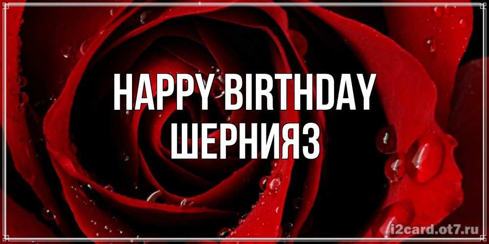 Greetings card с именем, ШЕРНИЯЗ Happy Birthday крупная бордовая роза Greetings with text for free download 