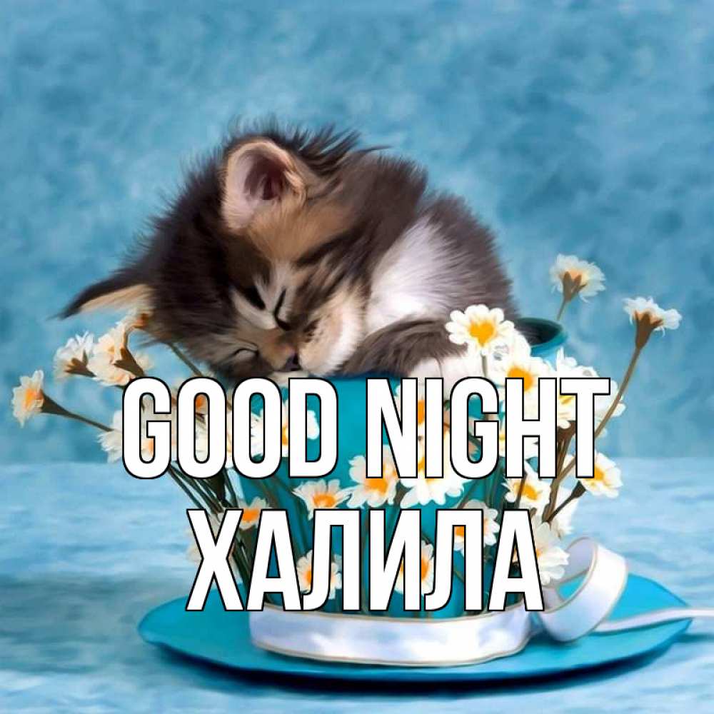 Greetings card с именем, ХАЛИЛА Good night котенок спит в кружке с блюдцем Greetings with text for free download 