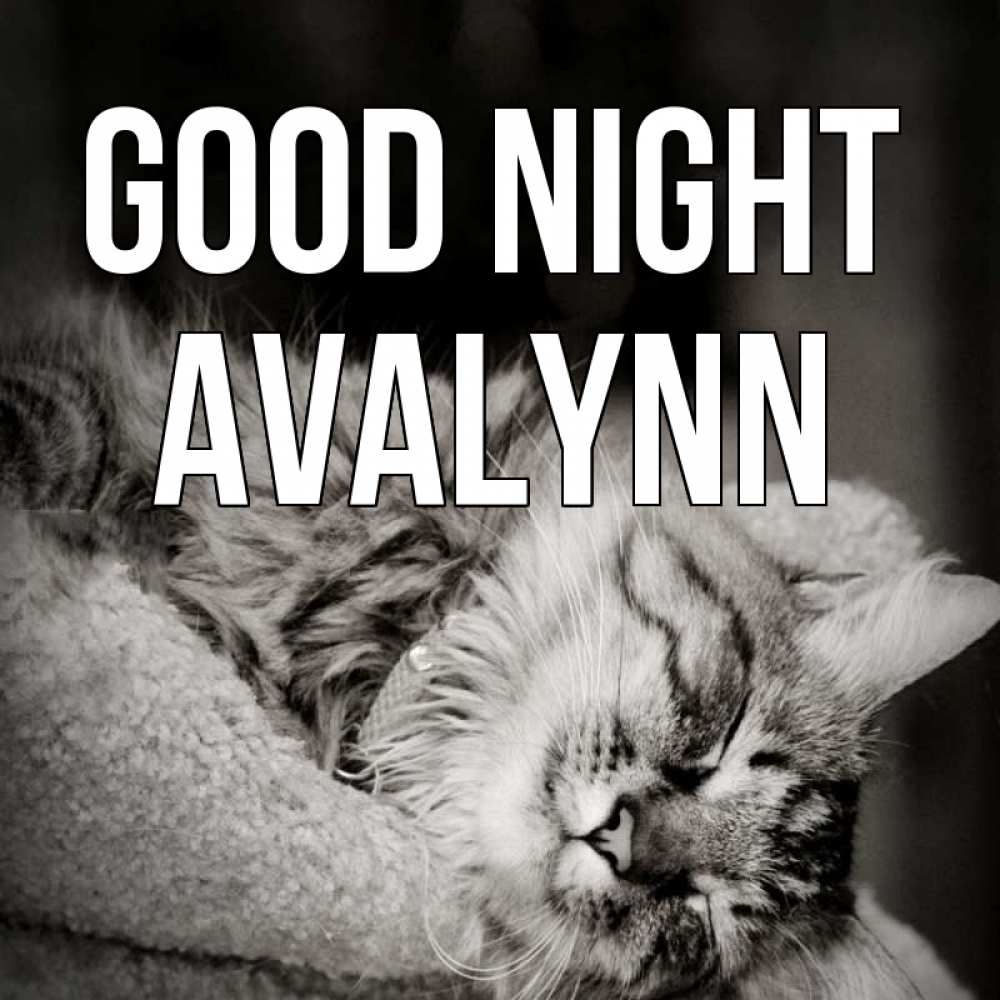 Greetings card с именем, Avalynn Good night котярик пушистый Greetings with text for free download 