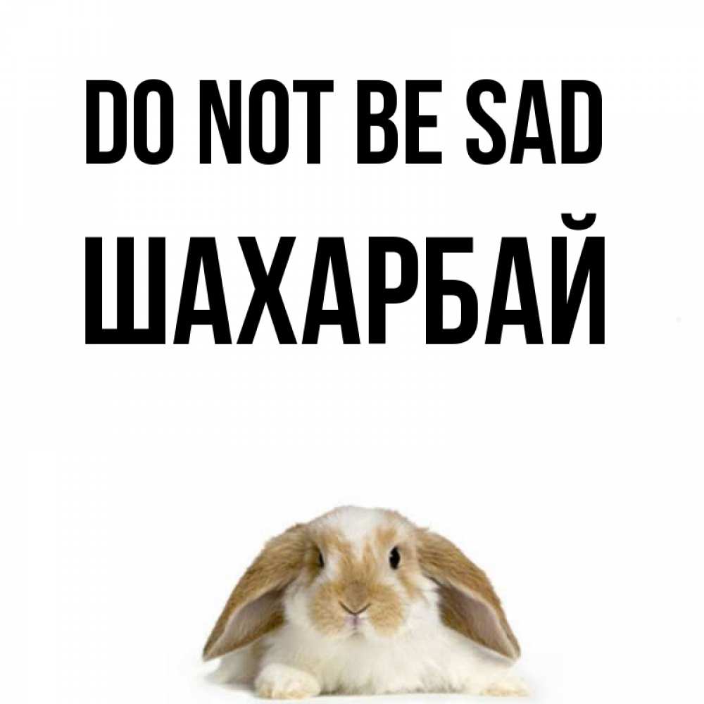 Greetings card с именем, ШАХАРБАЙ Do not be sad коричнево белый заяц с большими ушками Greetings with text for free download 