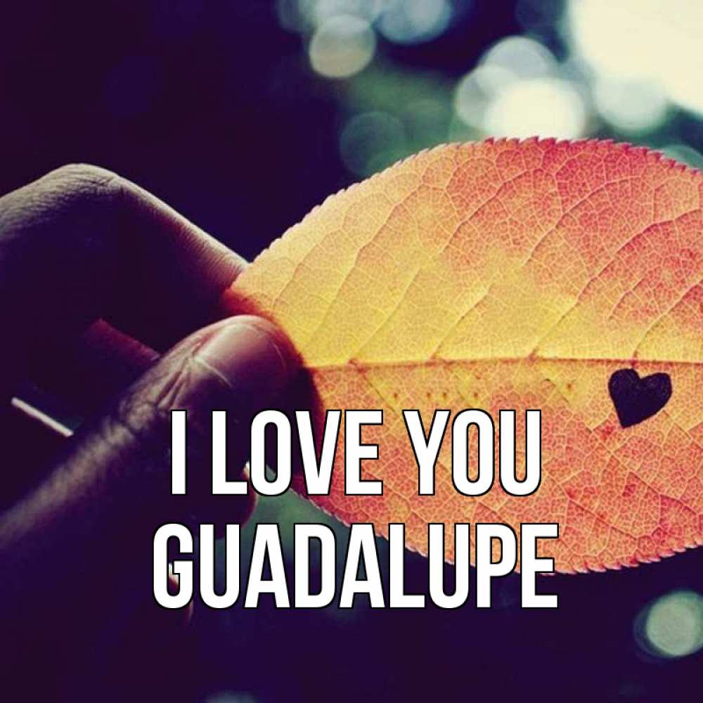 Greetings card с именем, Guadalupe I love you держу лист Greetings with text for free download 