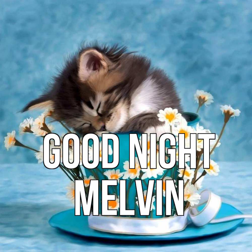 Greetings card с именем, Melvin Good night котенок спит в кружке с блюдцем Greetings with text for free download 