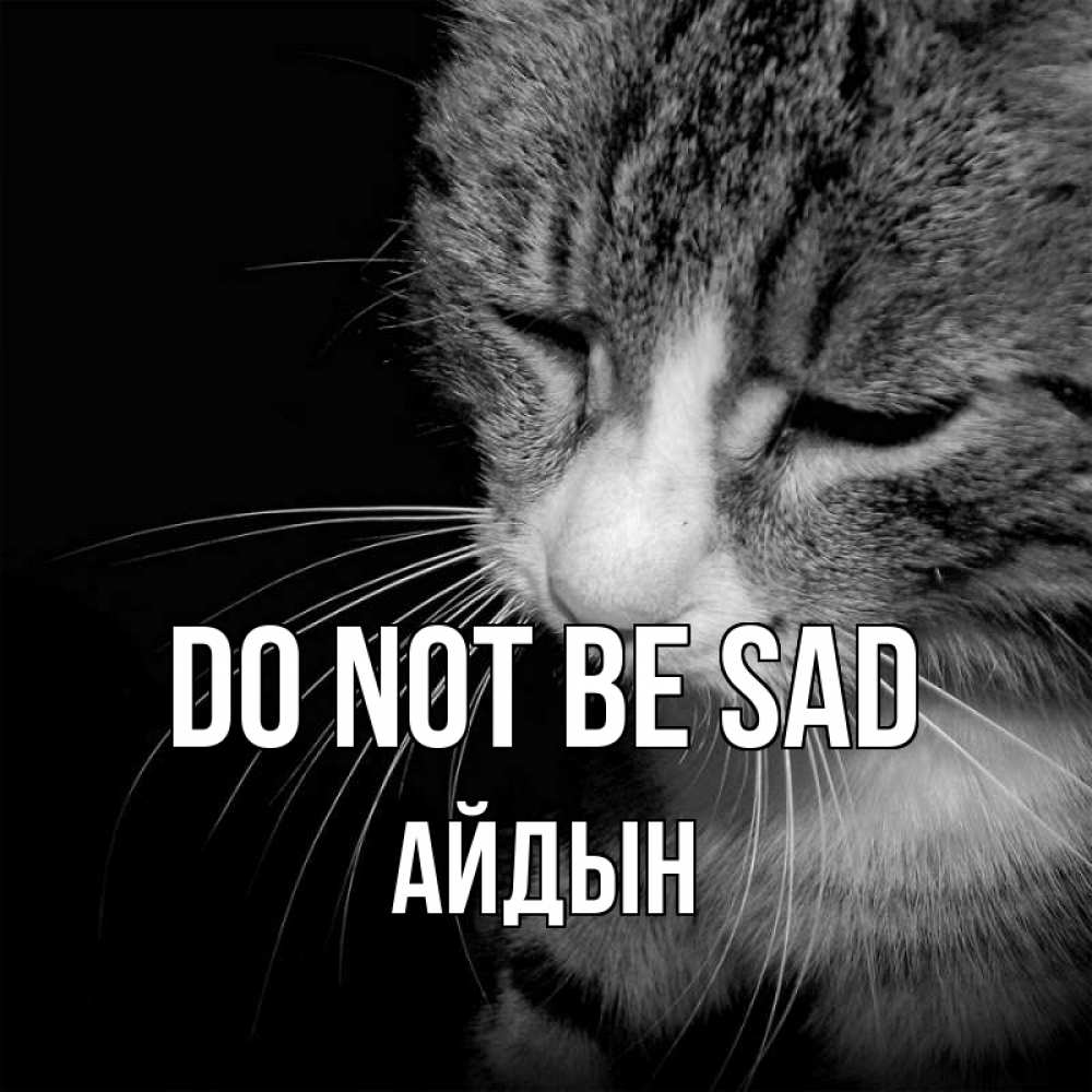 Greetings card с именем, Айдын Do not be sad грустный котик Greetings with text for free download 