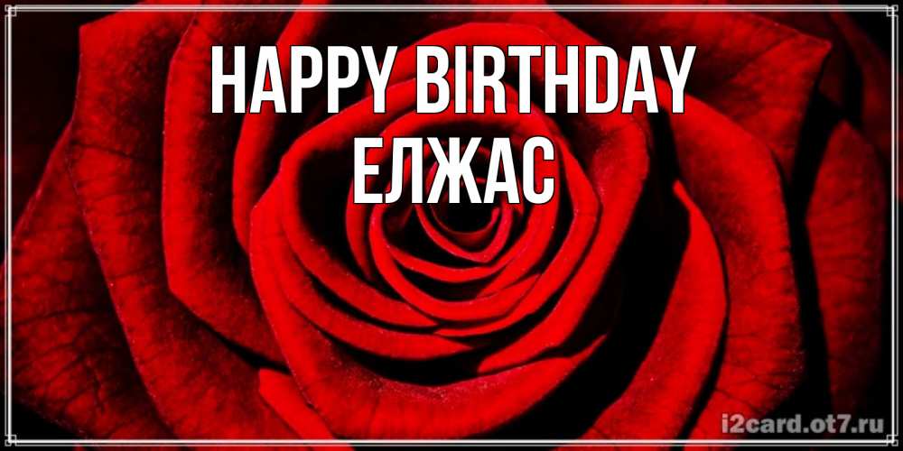 Greetings card с именем, Елжас Happy Birthday алая роза Greetings with text for free download 