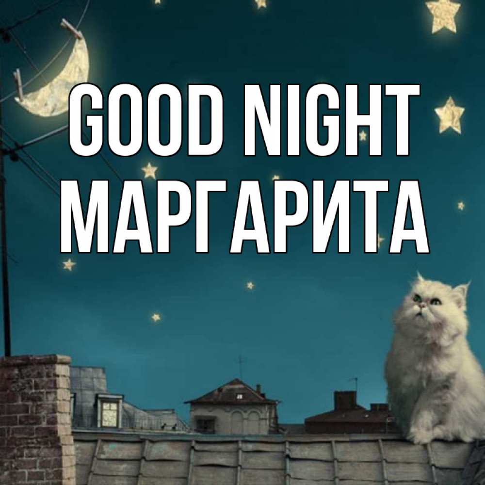 Greetings card с именем, Маргарита Good night белый кот сидит на крыше Greetings with text for free download 