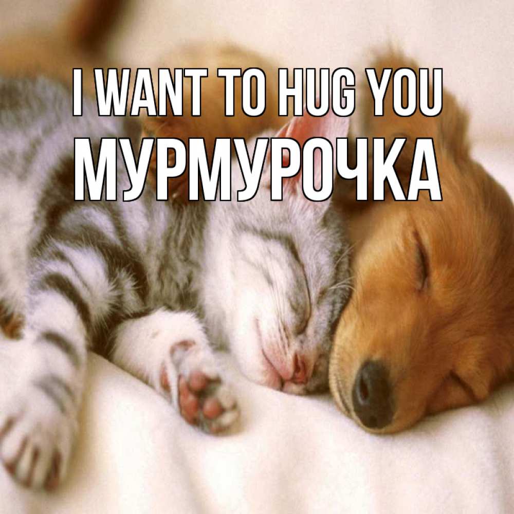 Greetings card с именем, Мурмурочка I want to hug you пес и котенок Greetings with text for free download 