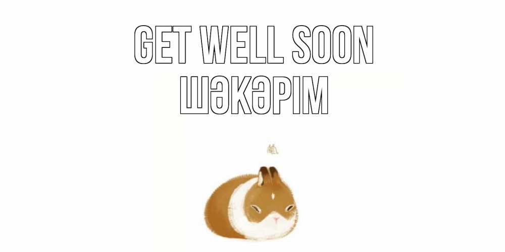 Greetings card с именем, ШӘКӘРІМ Get well soon морская свинка на открытке с пожеланиями не болеть Greetings with text for free download 