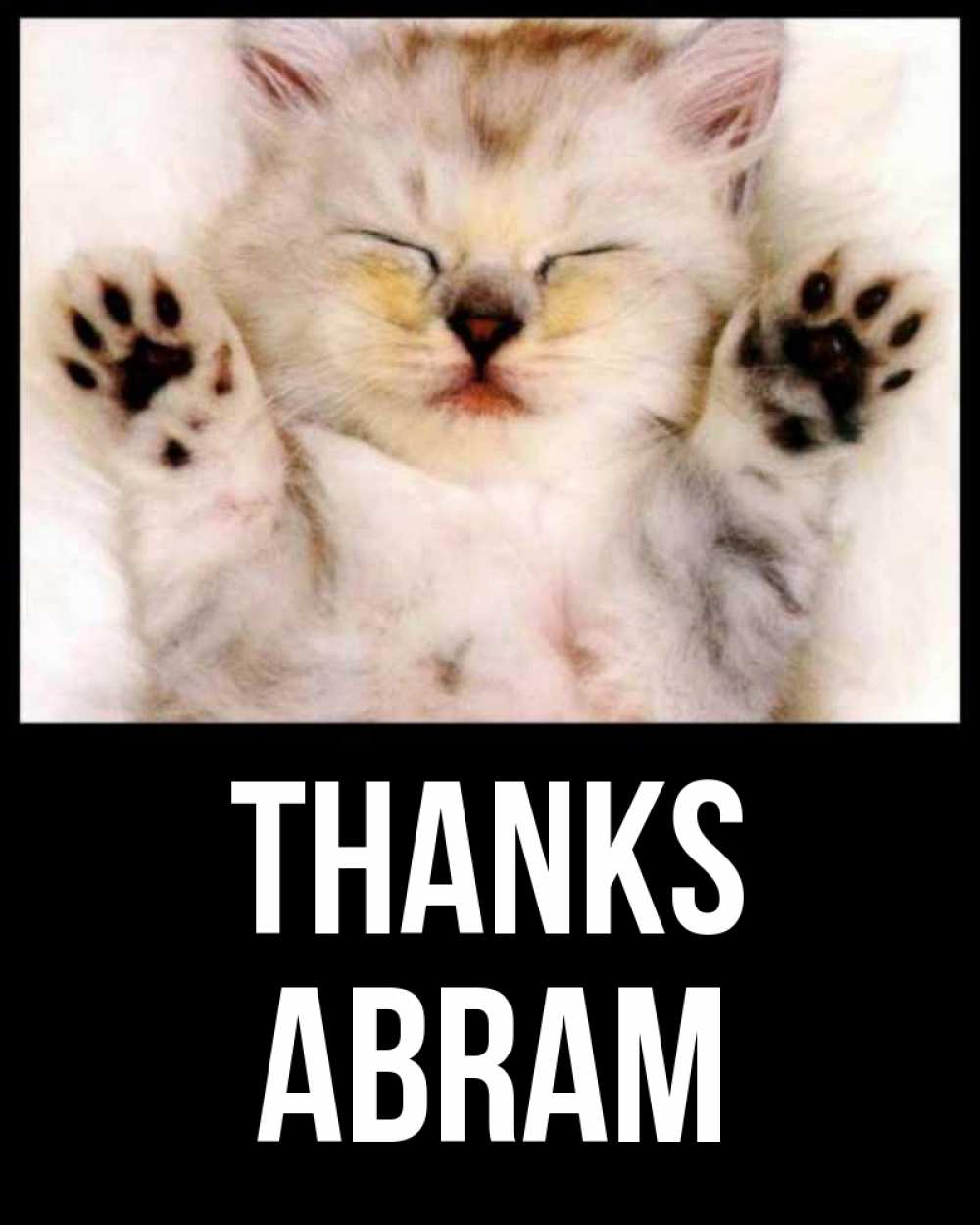 Greetings card с именем, Abram Thanks маленький котенок Greetings with text for free download 