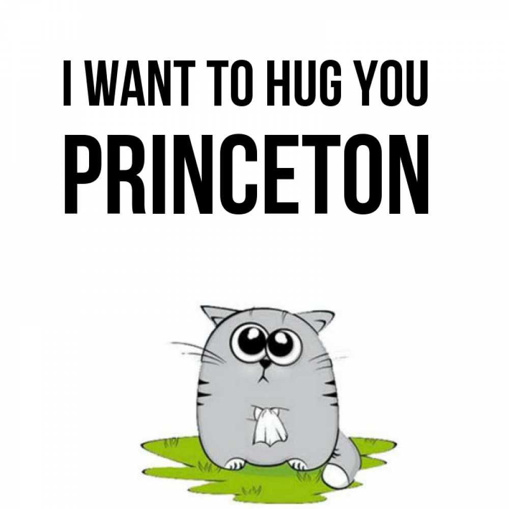 Greetings card с именем, Princeton I want to hug you котик теребит платочек сидя на травке Greetings with text for free download 