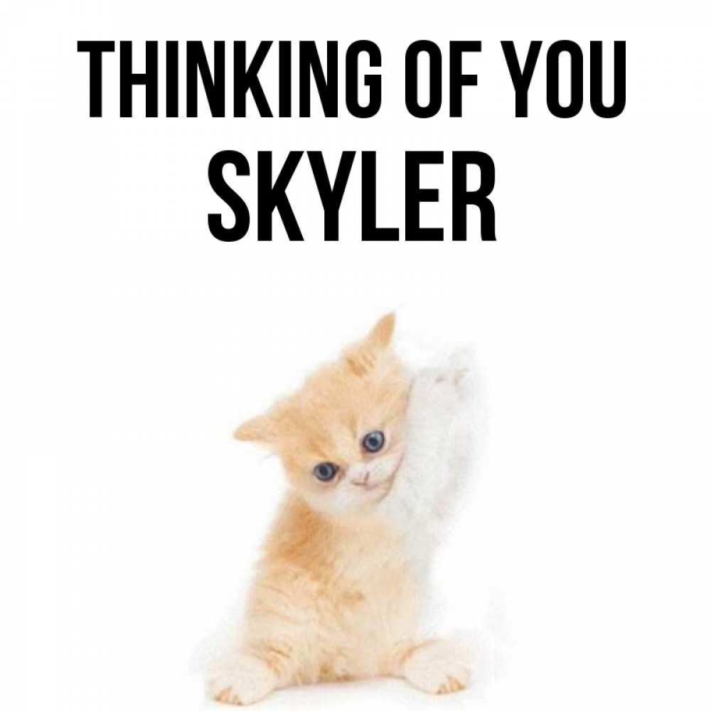 Greetings card с именем, Skyler Thinking of you зверушки и милота Greetings with text for free download 