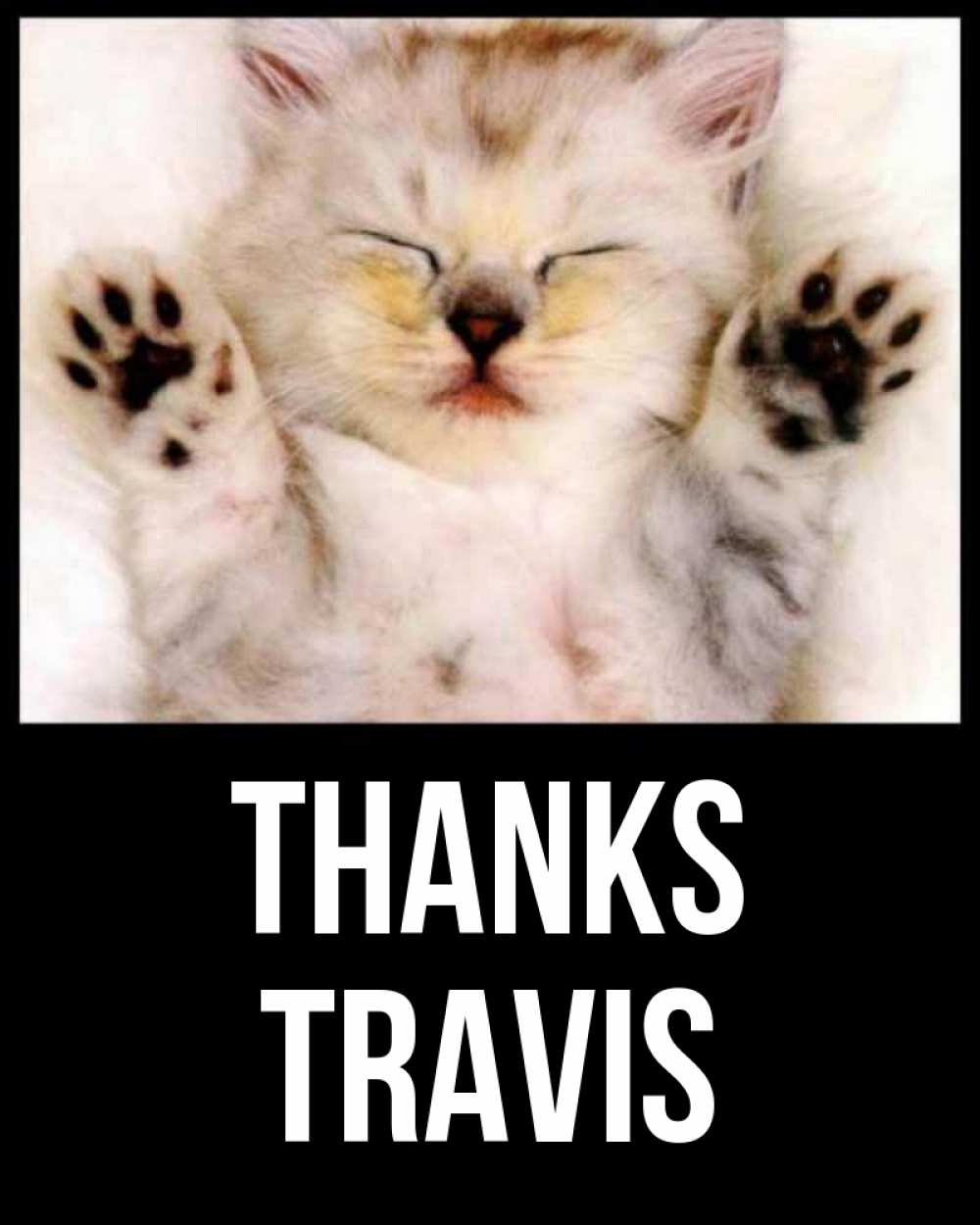 Greetings card с именем, Travis Thanks маленький котенок Greetings with text for free download 