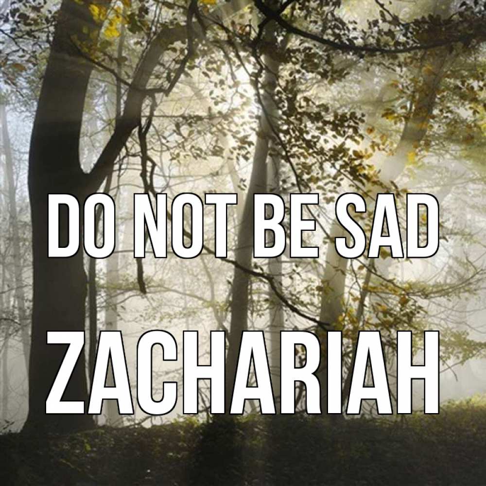 Greetings card с именем, Zachariah Do not be sad лес и свет Greetings with text for free download 