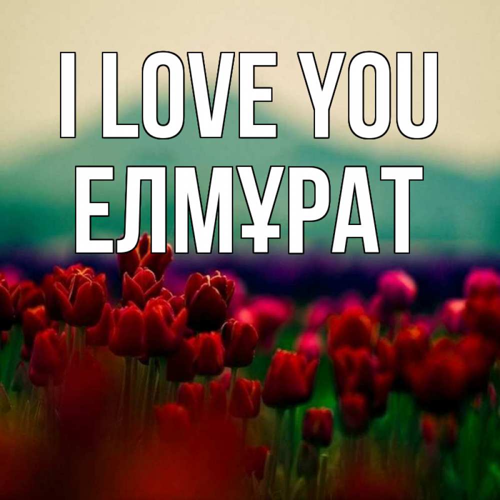 Greetings card с именем, Елмұрат I love you тюльпаны 4 Greetings with text for free download 