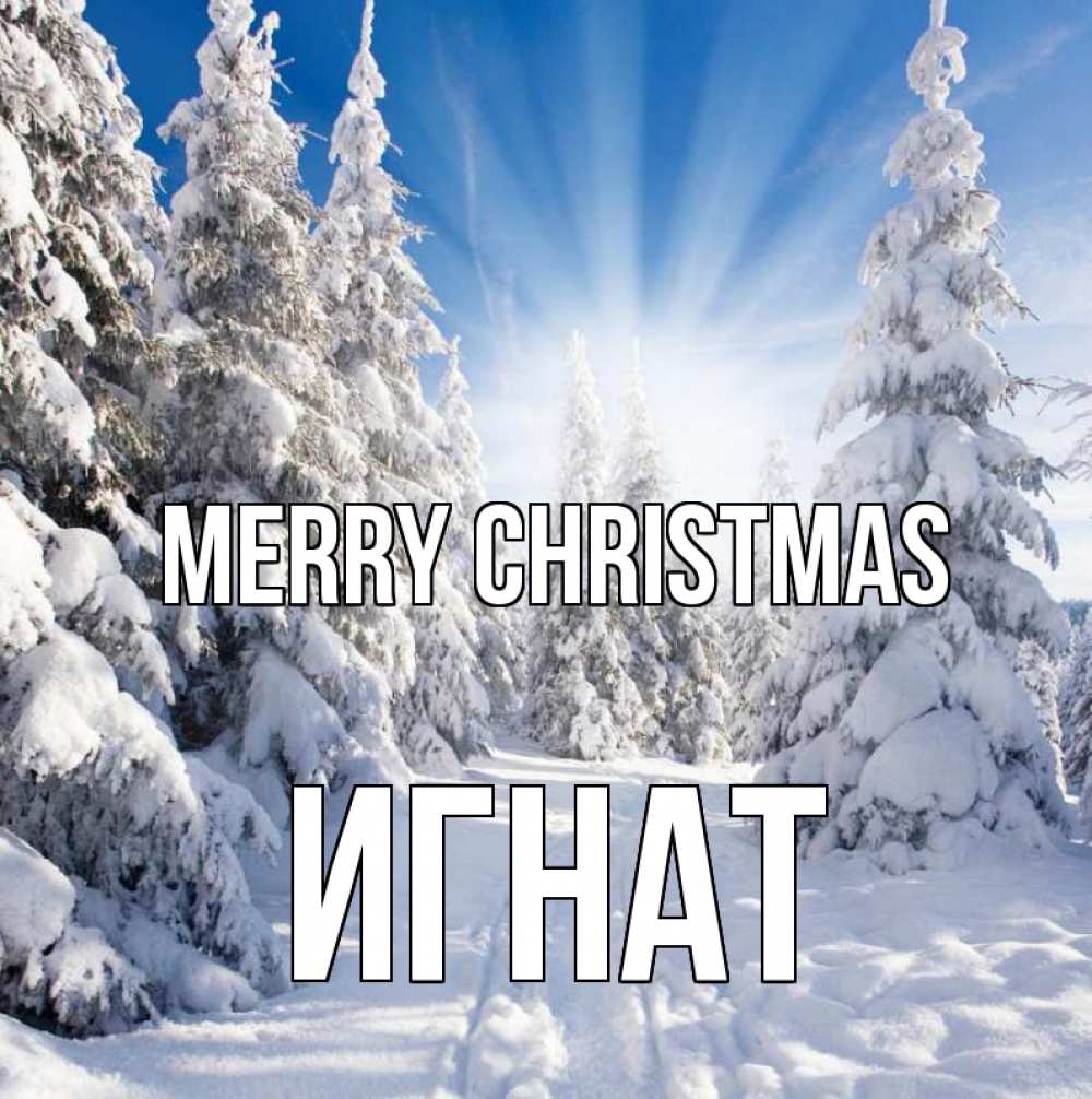 Greetings card с именем, Игнат Merry Christmas зима, лес Greetings with text for free download 