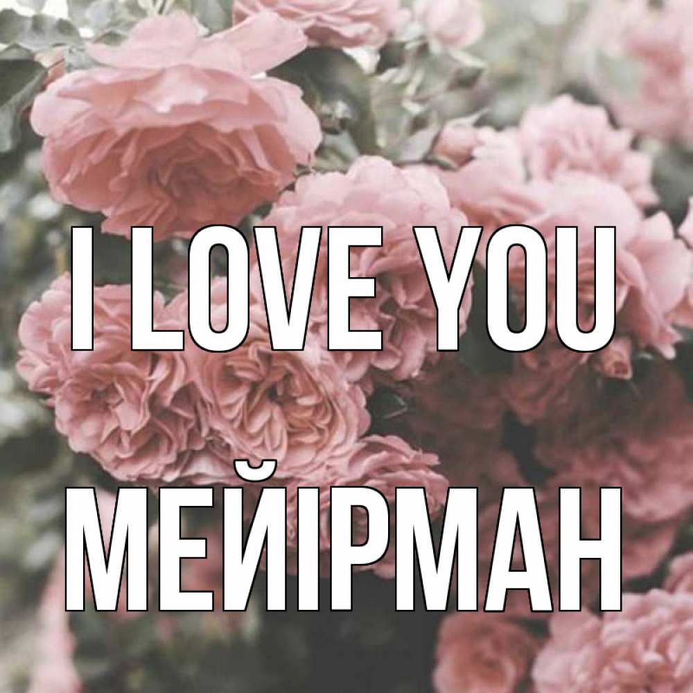 Greetings card с именем, МЕЙІРМАН I love you розы 3 Greetings with text for free download 