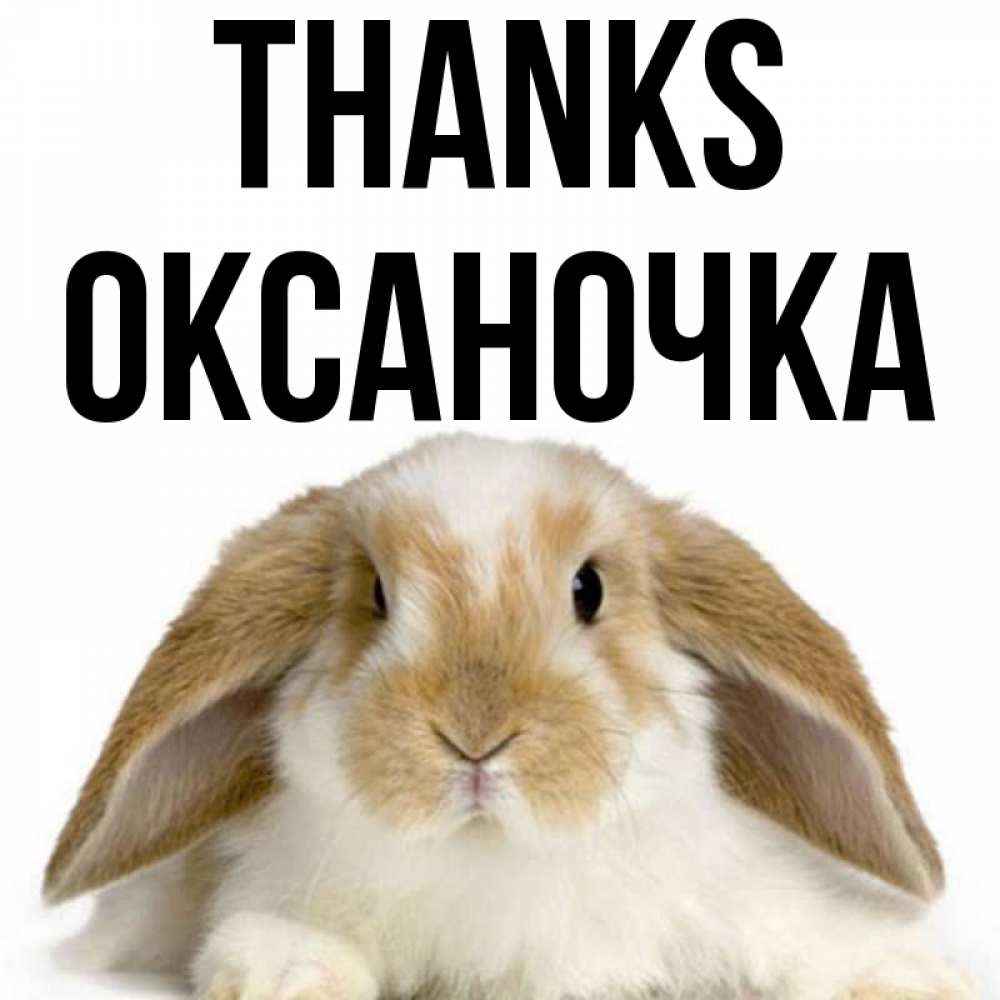 Greetings card с именем, Оксаночка Thanks коричнево белый заяц Greetings with text for free download 