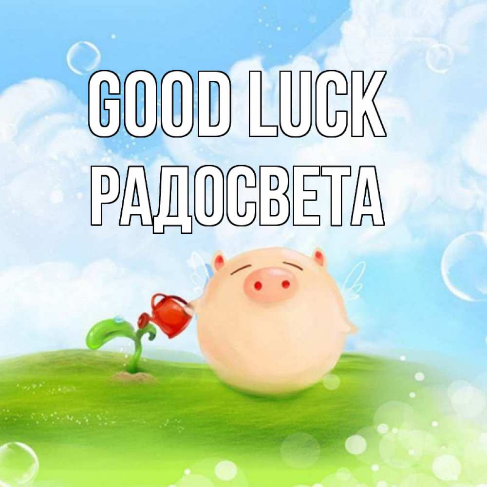 Greetings card с именем, Радосвета Good luck поросенок поливает цветок. летнее настроение Greetings with text for free download 