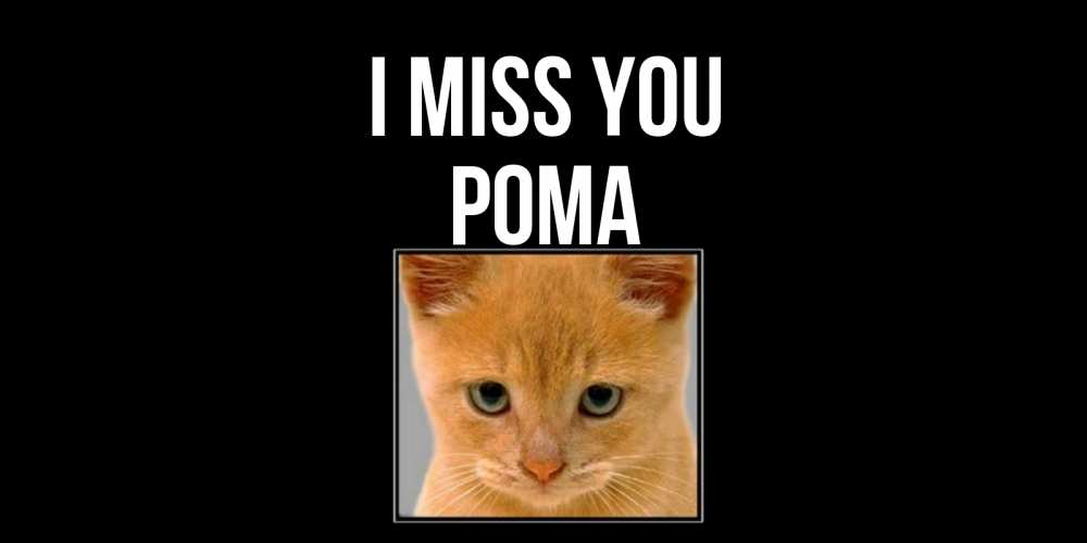 Greetings card с именем, Рома I miss you открытки рыжий котенок скучает по тебе Greetings with text for free download 