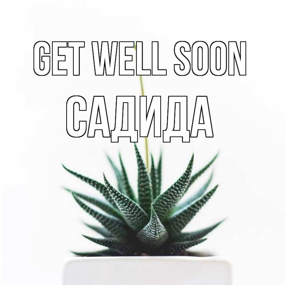 Greetings card с именем, САДИДА Get well soon короче это непонятная колючка Greetings with text for free download 