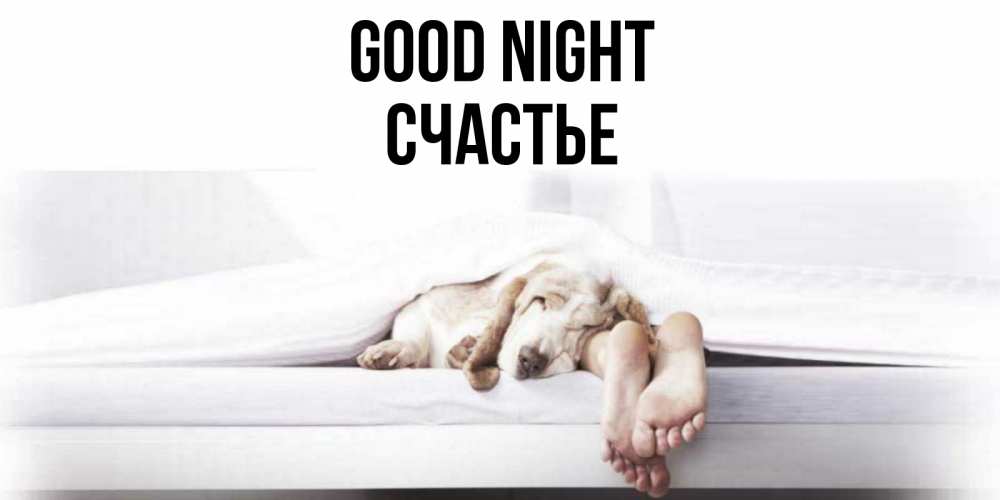 Greetings card с именем, Счастье Good night кровать с собакой пожелание сладких снов и спокойной ночи Greetings with text for free download 
