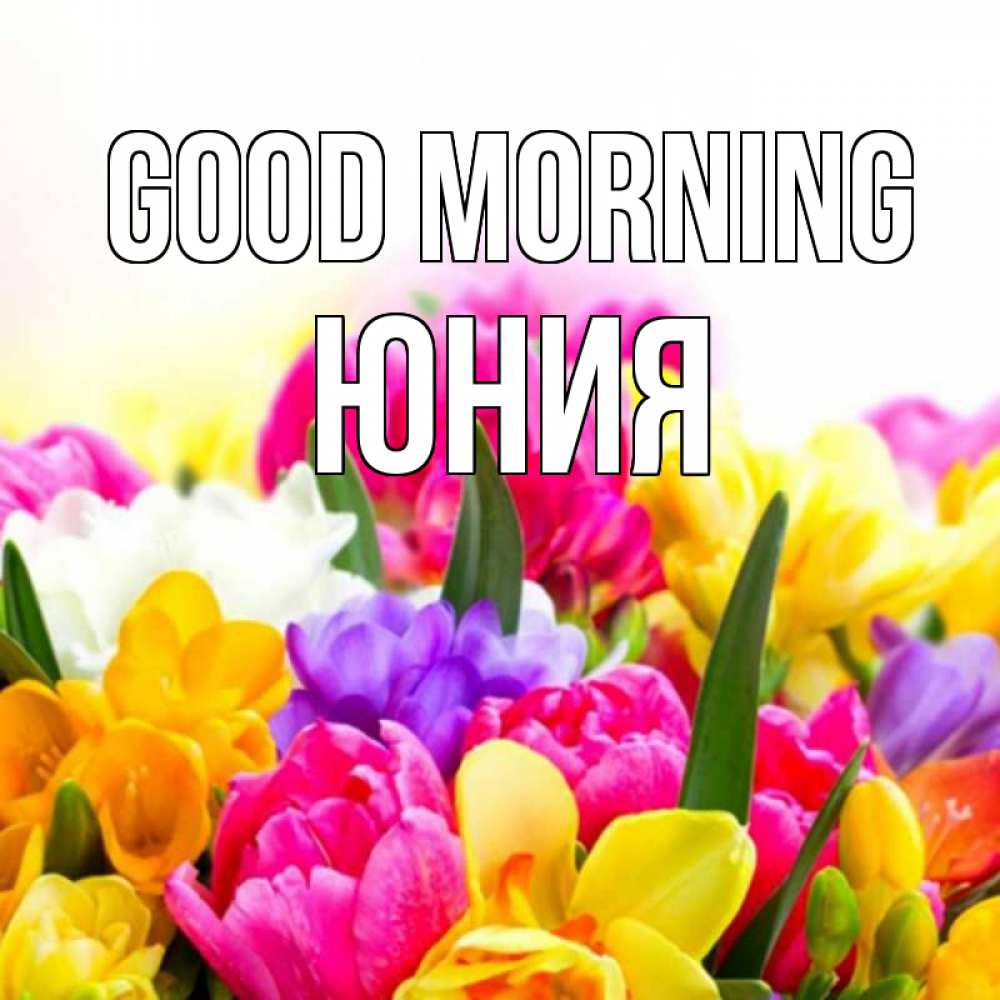 Greetings card с именем, Юния Good morning создать открытку со свое подписью Greetings with text for free download 
