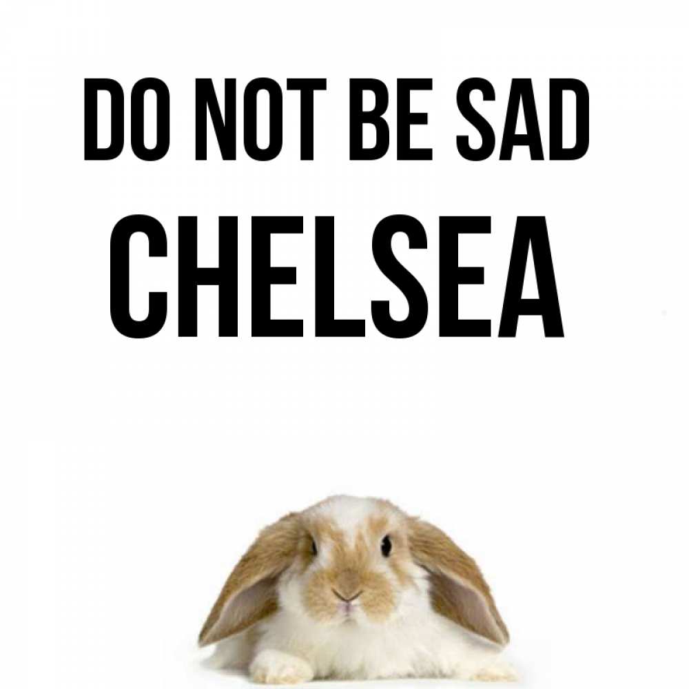 Greetings card с именем, Chelsea Do not be sad коричнево белый заяц с большими ушками Greetings with text for free download 